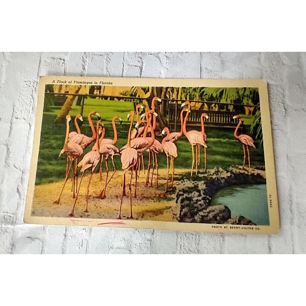 Flamingo Postcard from Daytona Beach Florida | June 1941 Posted Stamp